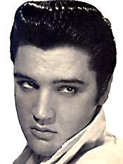 Elvis